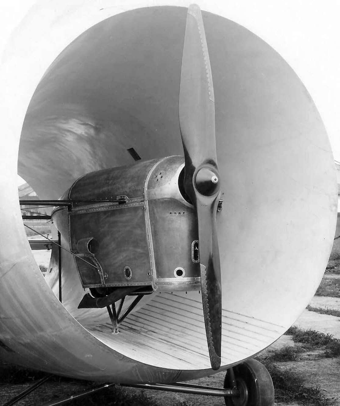 nhungdoicanh StipaCaproni