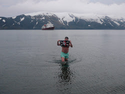 Polar Bear Dip Club, Deception Island