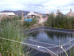 Fish Pens, Uros Islands, Floating Reed Platforms, Lake Titicaca