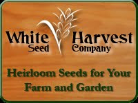 Great Seed Company