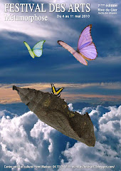 affiche du festival 2010