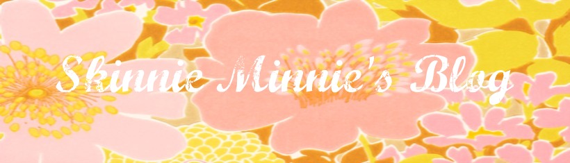 Skinnie Minnie's Blog