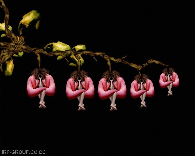 a3.jpg
