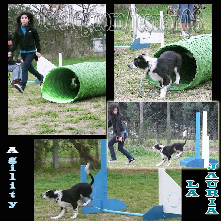 2º clase de Obediencia y agility
