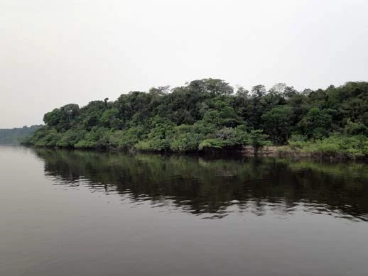 Viagem para a Amazonia, pelo Rio Negro