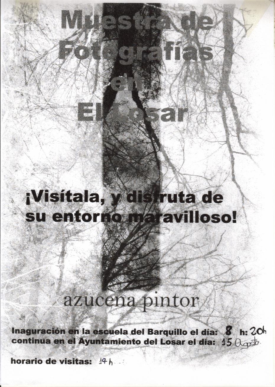 [Cartel+Exposición+Azucena.jpg]