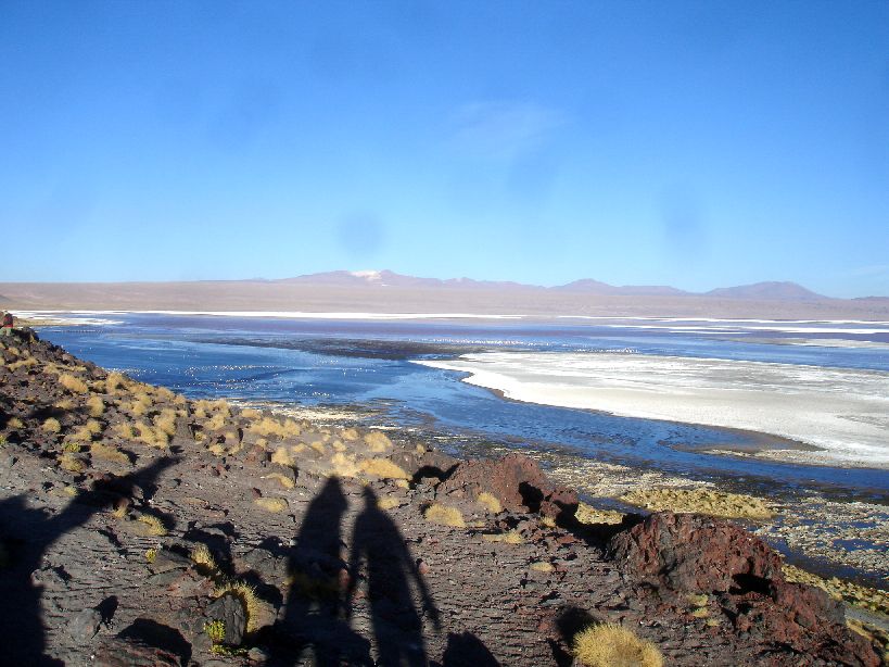 [DSC07010.JPG]