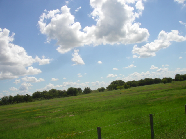 [DSC03246.JPG]