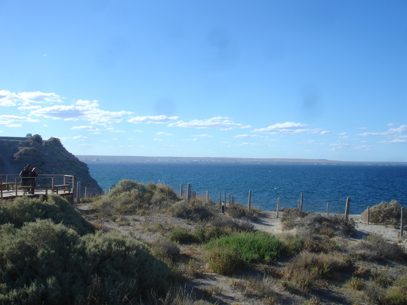 [DSC04593.JPG]