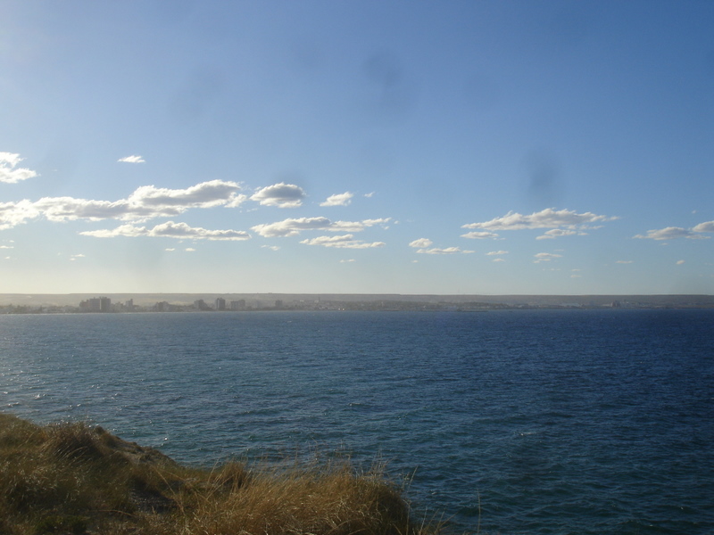 [DSC04597.JPG]