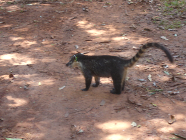 [DSC05263.JPG]