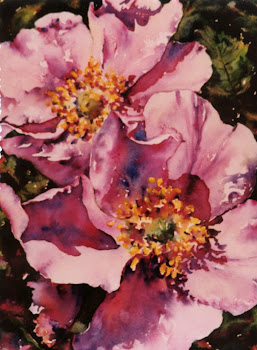 Sunny Alberta - Roses #10