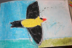 bird sane flying flight