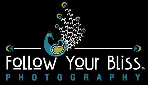 Follow Your Bliss Photography