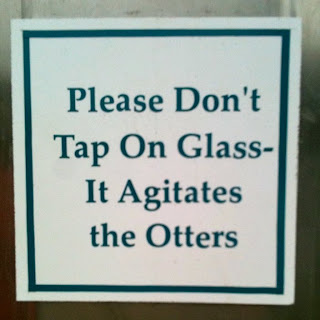 Read This Because I Probably Won't Call: Please Don't Tap On The Glass