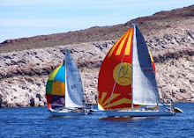 Eupsychia leading Isis in the Sea of Cortez Sailing week 2008