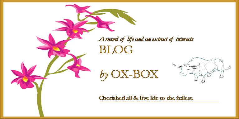 OX-BOX
