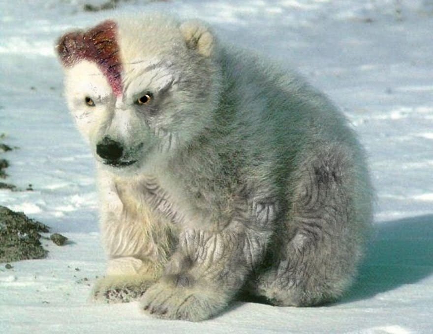 Zombie Squiggs: Zombie animals part 15 - Zombie Polar Bear Cub
