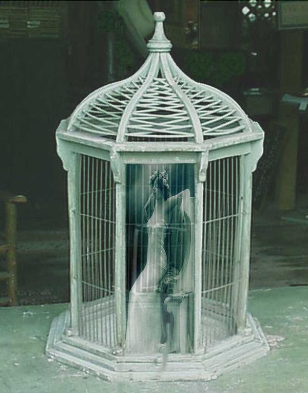 A prayer for the wild at heart kept in cages Analyzing my dreams as a