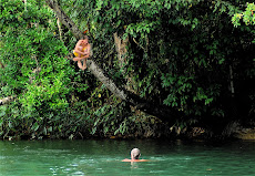 Tree jumping at Bonampak