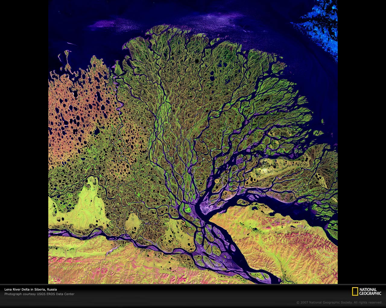 Delta del río Nela De todo un poco...noticias, tecnología,