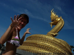 MONKEYS BASK IN THE SUN - THAILAND