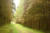 Study Abroad In Northern Ireland