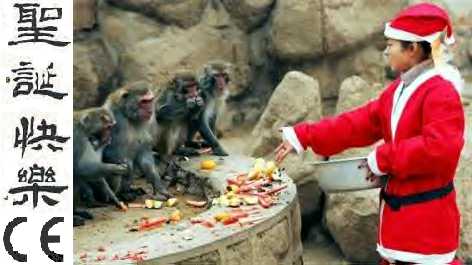 [Melly+Christmas.jpg]