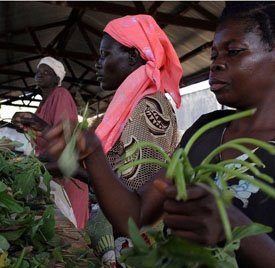 [Uganda+farmers.jpg]