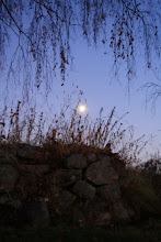 Höstmåne