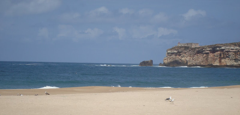 Praia da nazaré