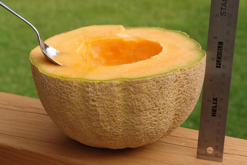 Gluten Free Blog HoneyRock Cantaloupe Melon Awesome GlutenFree