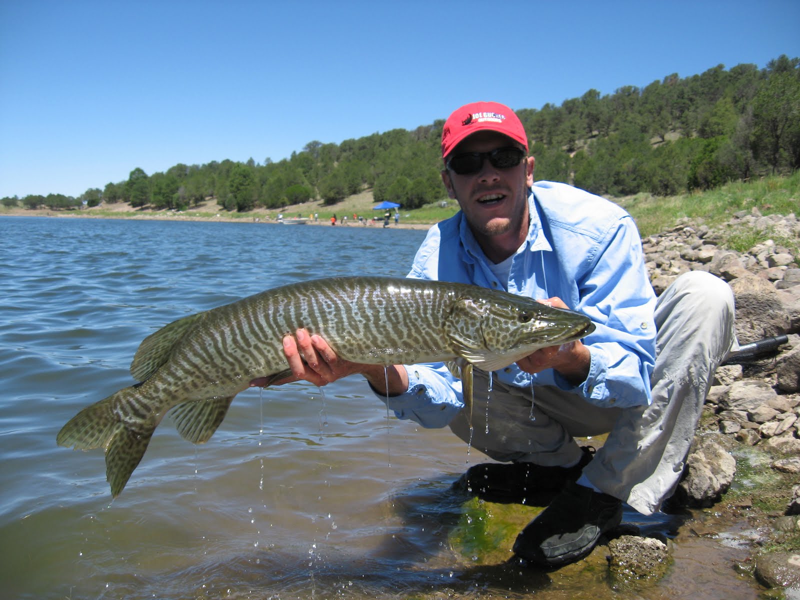 OUTDOORS NM Trophy Tiger Muskies in Quemado, Bluewater Lakes make for