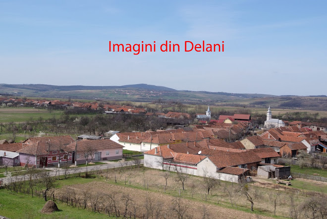 Imagini din Delani