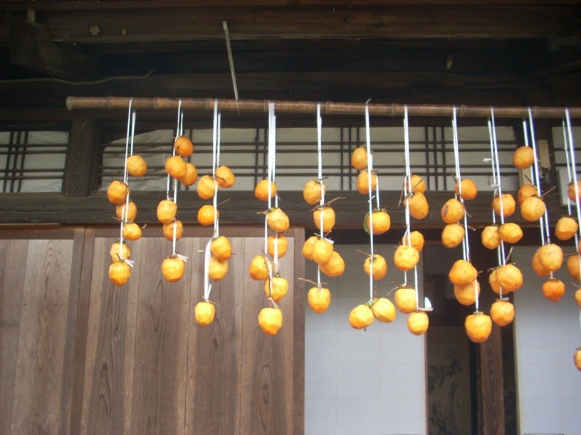 Kitchen, Dining & Bar Dring Hanger for Persimmon Made in Korea Dried