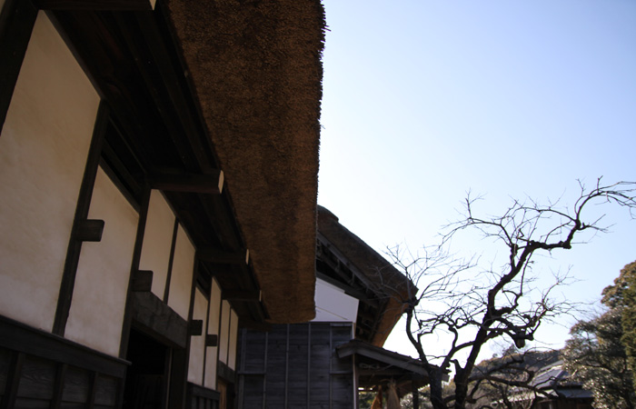 [IMG_9379.jpg]