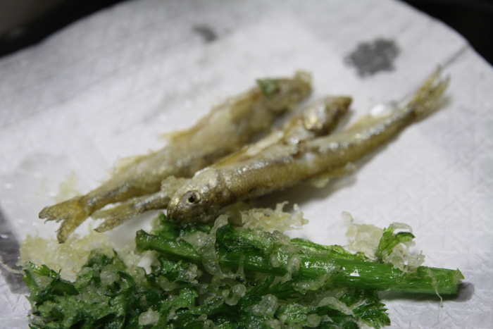 [20100131_06.jpg]