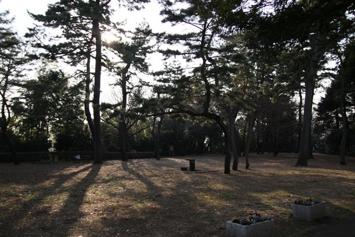 [20100131_05.jpg]