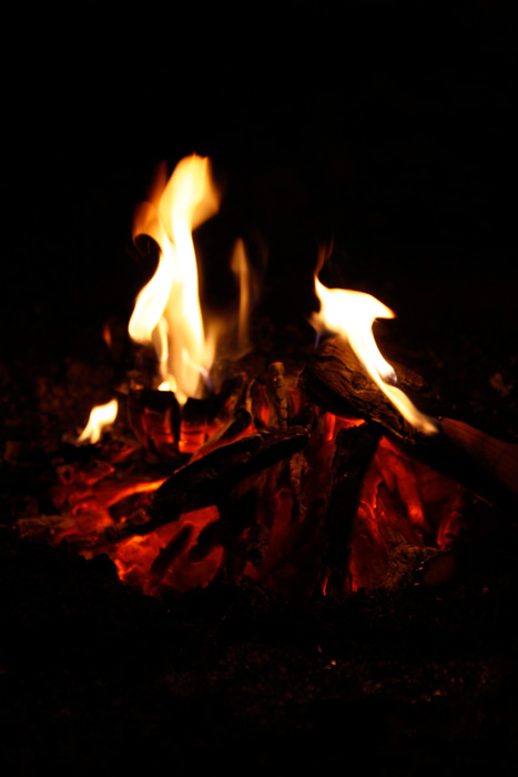 [20100320-03.jpg]