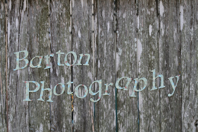 Barton Photography