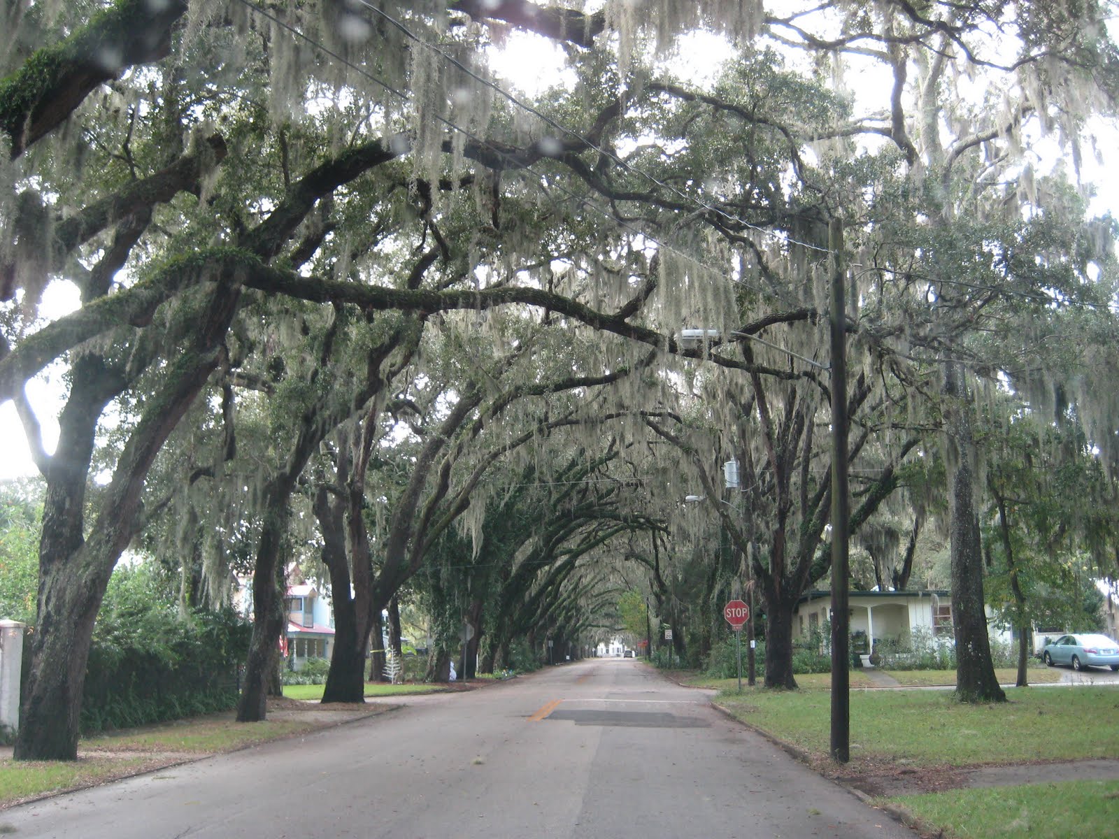 St. Augustine Snippets Most Photographed Street