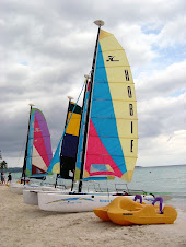 What the heck is a Hobie Cat?