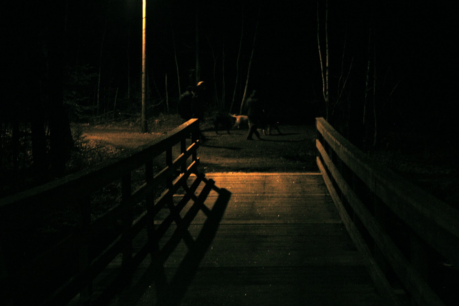 My Igloo Life Late Night Dog Walk