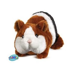 Guinea Pig