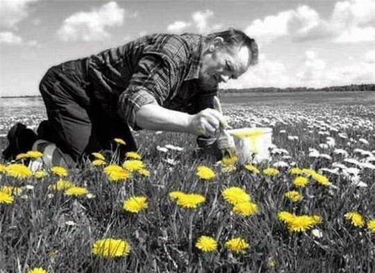 [pintando+a+primavera.jpg]