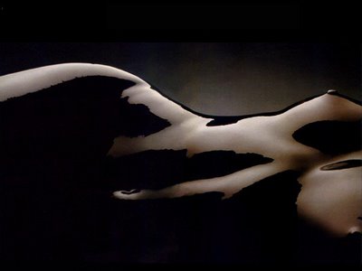 [wallpaper_9005.jpg]