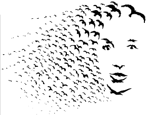 [isulao_1_lit_0.gif]