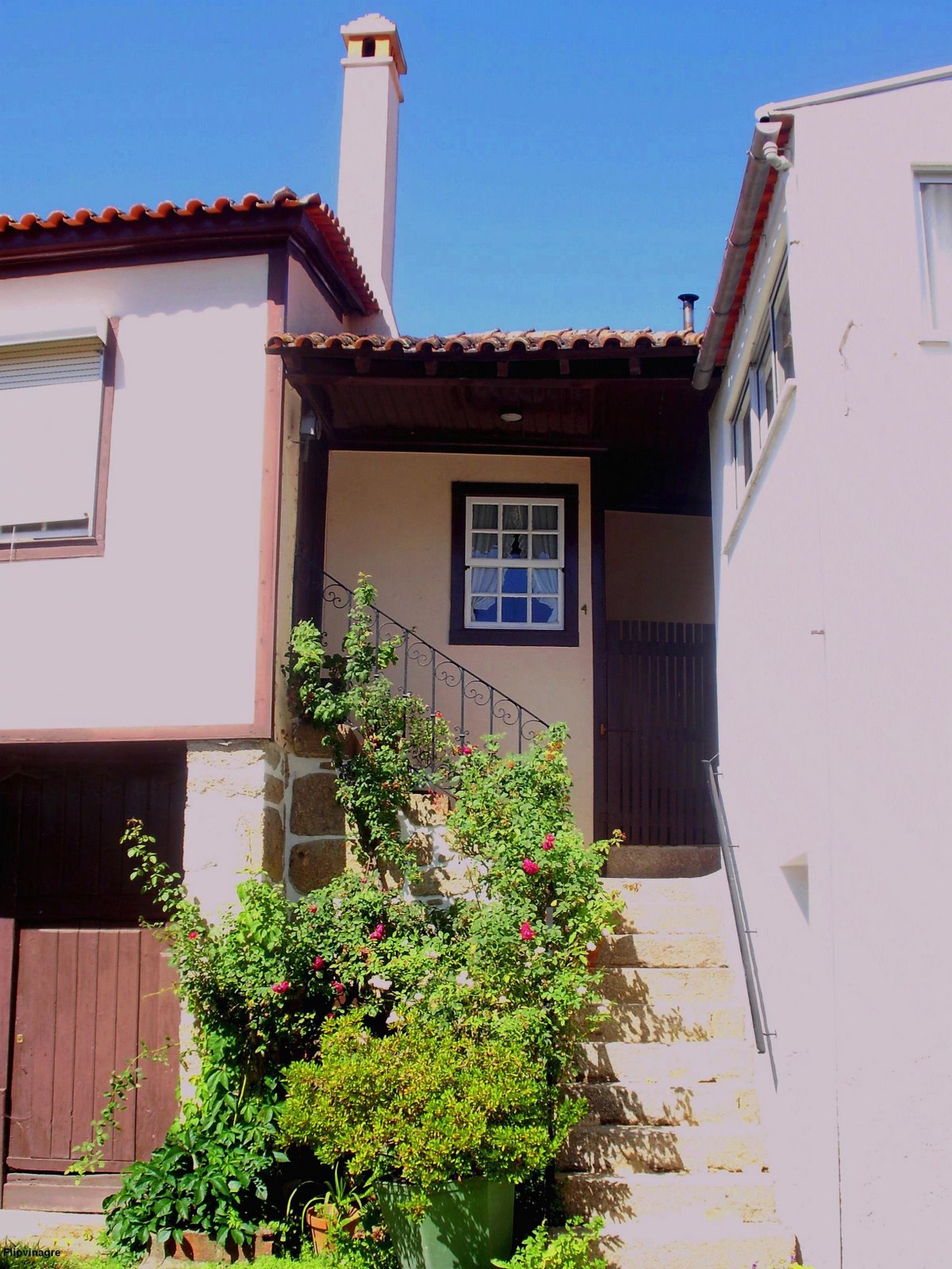 [vizinhatiavira.JPG]