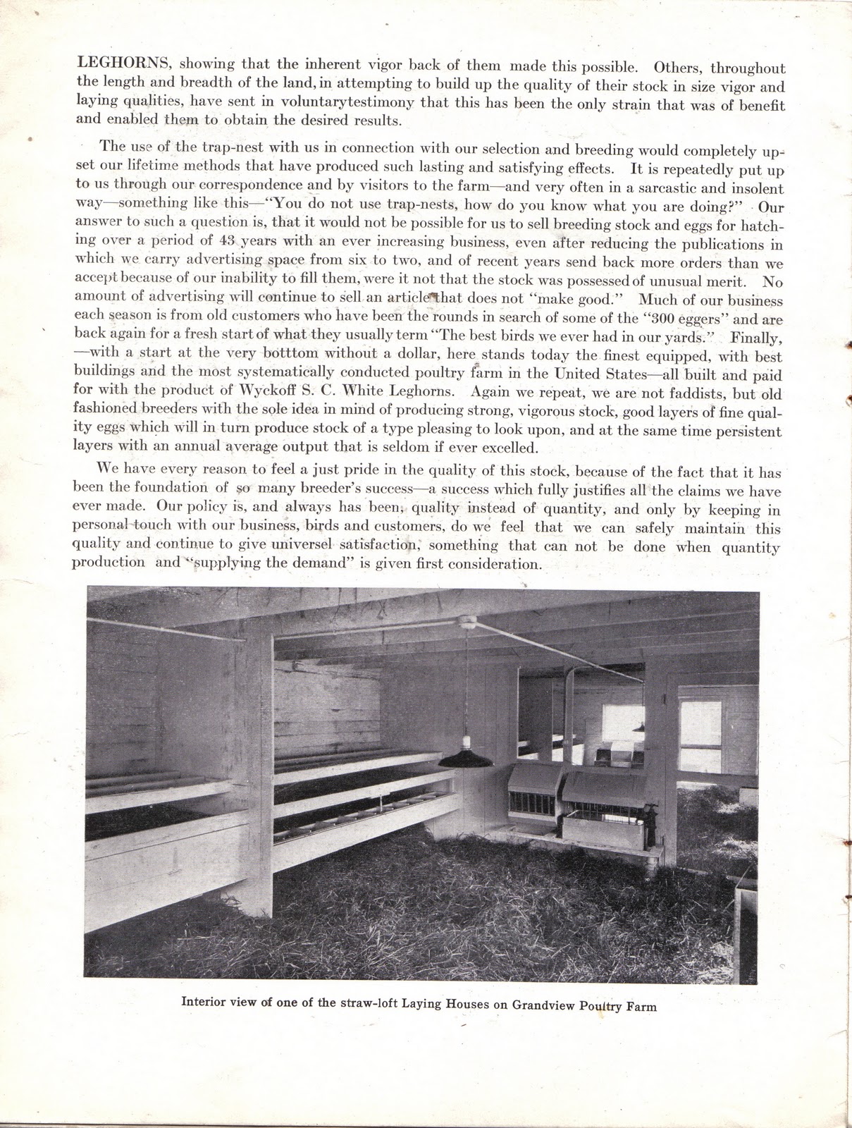 chickenhistory WYCKOFF'S GRANDVIEW POULTRY FARM 1924 PART 2 of 4