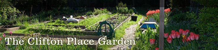 The Clifton Place Community Garden